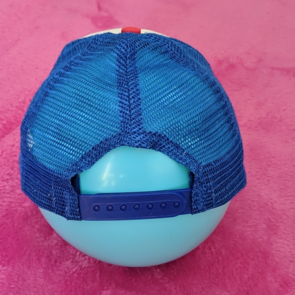 Pabst Blue Ribbon hat - Picture 3 of 5